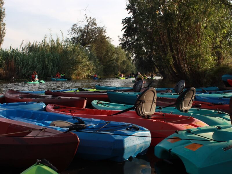 Sunset Kayak Tour in Xochimilco