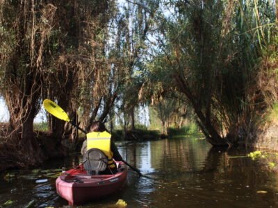 Late-Morning Kayak Tour in Xochimilco