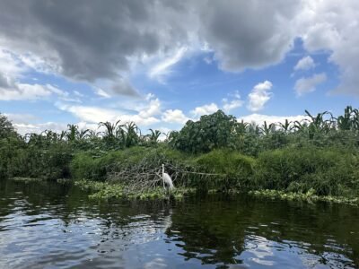 Late-Morning Kayak Tour in Xochimilco