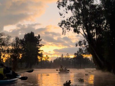 Sunrise Kayak Tour in Xochimilco